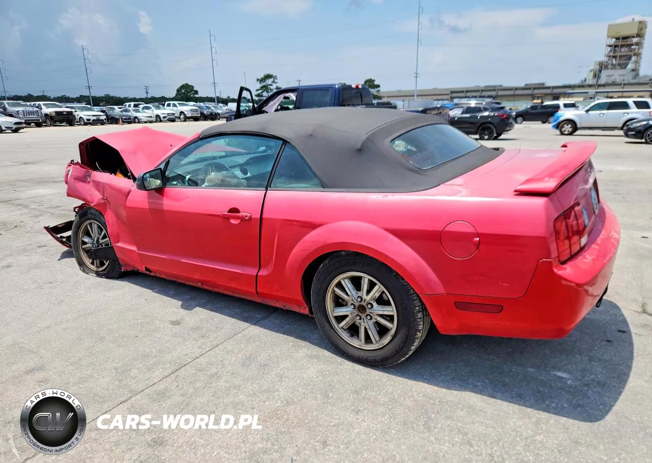 2006 Ford Mustang VIN:1ZVHT84N065186047 - 2
