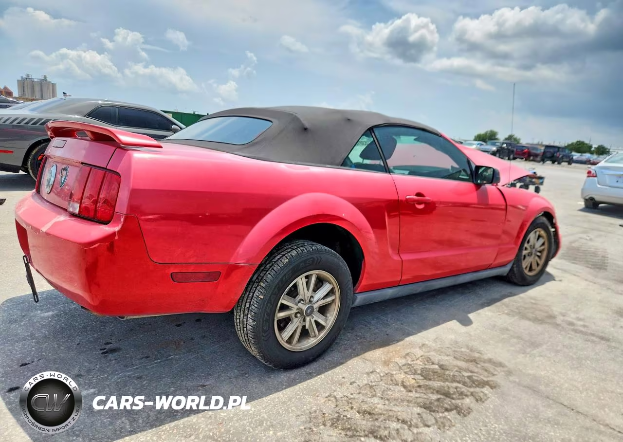 2006 Ford Mustang VIN:1ZVHT84N065186047 - 3