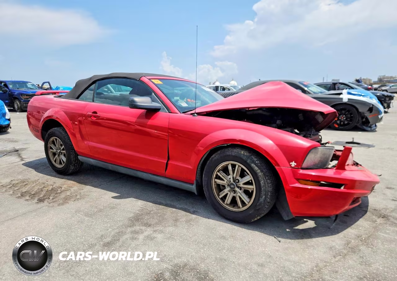 2006 Ford Mustang VIN:1ZVHT84N065186047 - 4