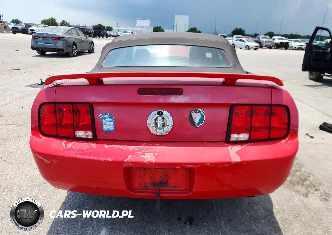 2006 Ford Mustang VIN:1ZVHT84N065186047 - 6