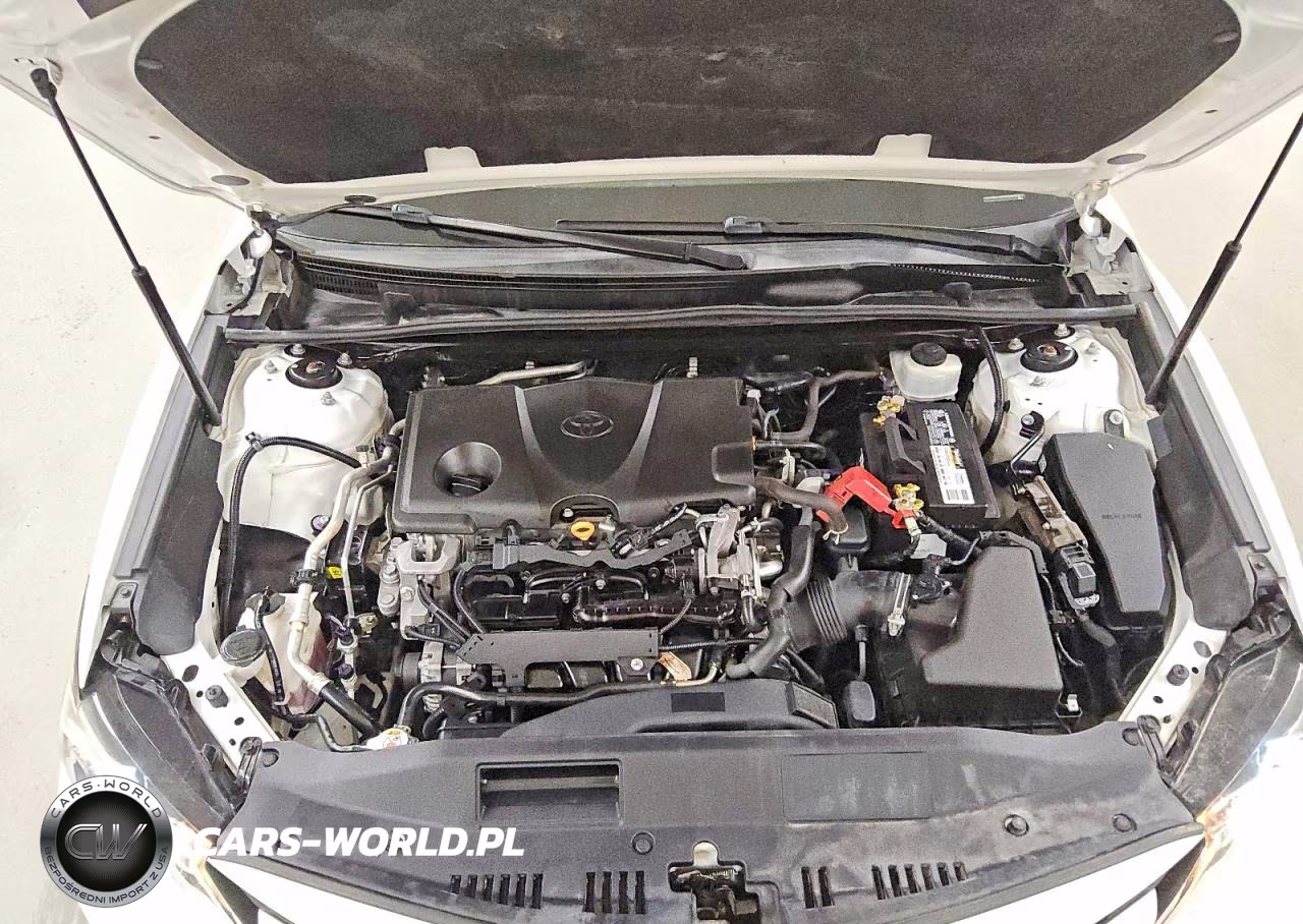 2020 Toyota Camry Le VIN:4T1C11AK4LU873212 - 11