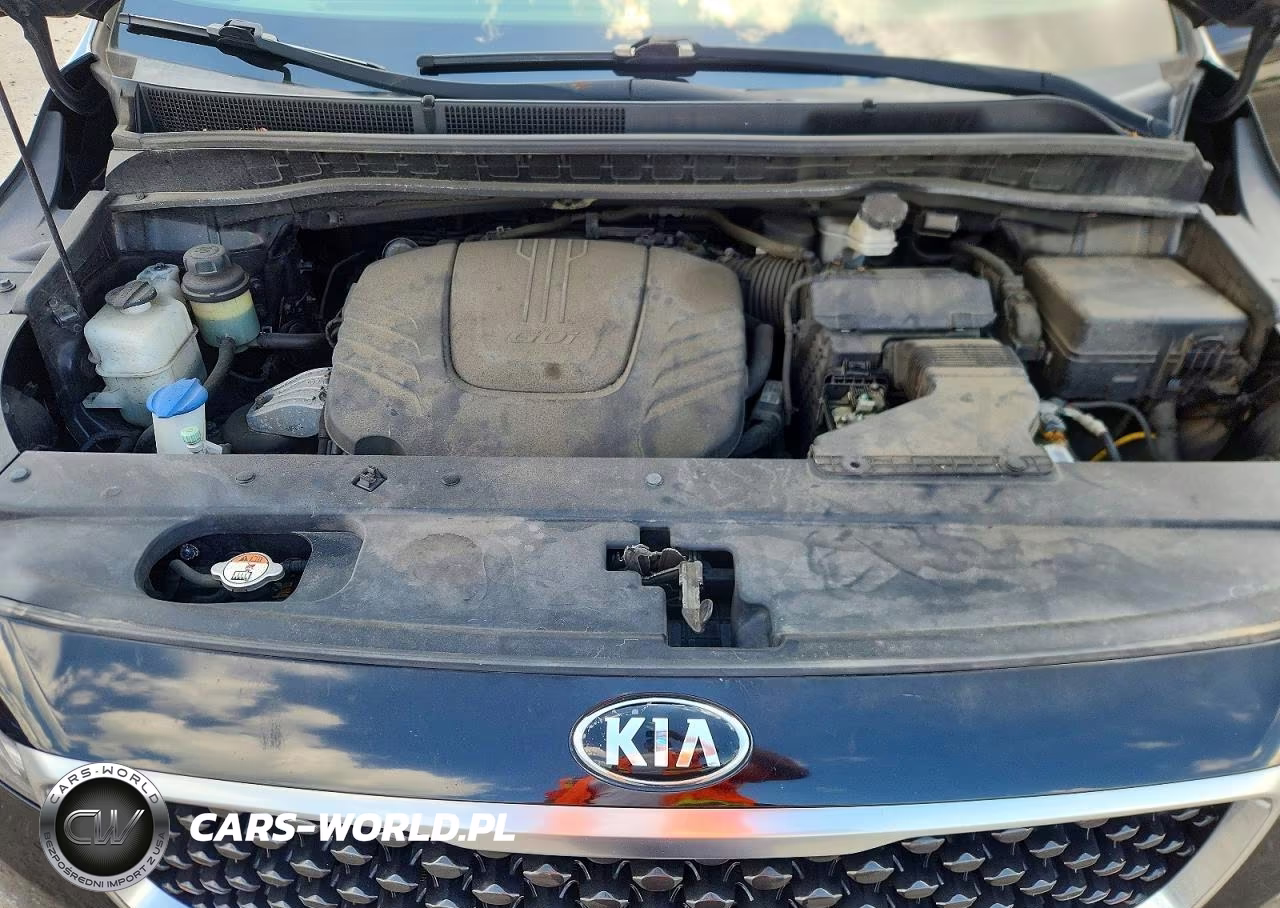 2017 Kia Sedona Lx VIN:KNDMB5C19H6306877 - 12