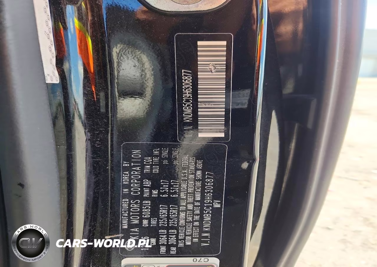 2017 Kia Sedona Lx VIN:KNDMB5C19H6306877 - 13