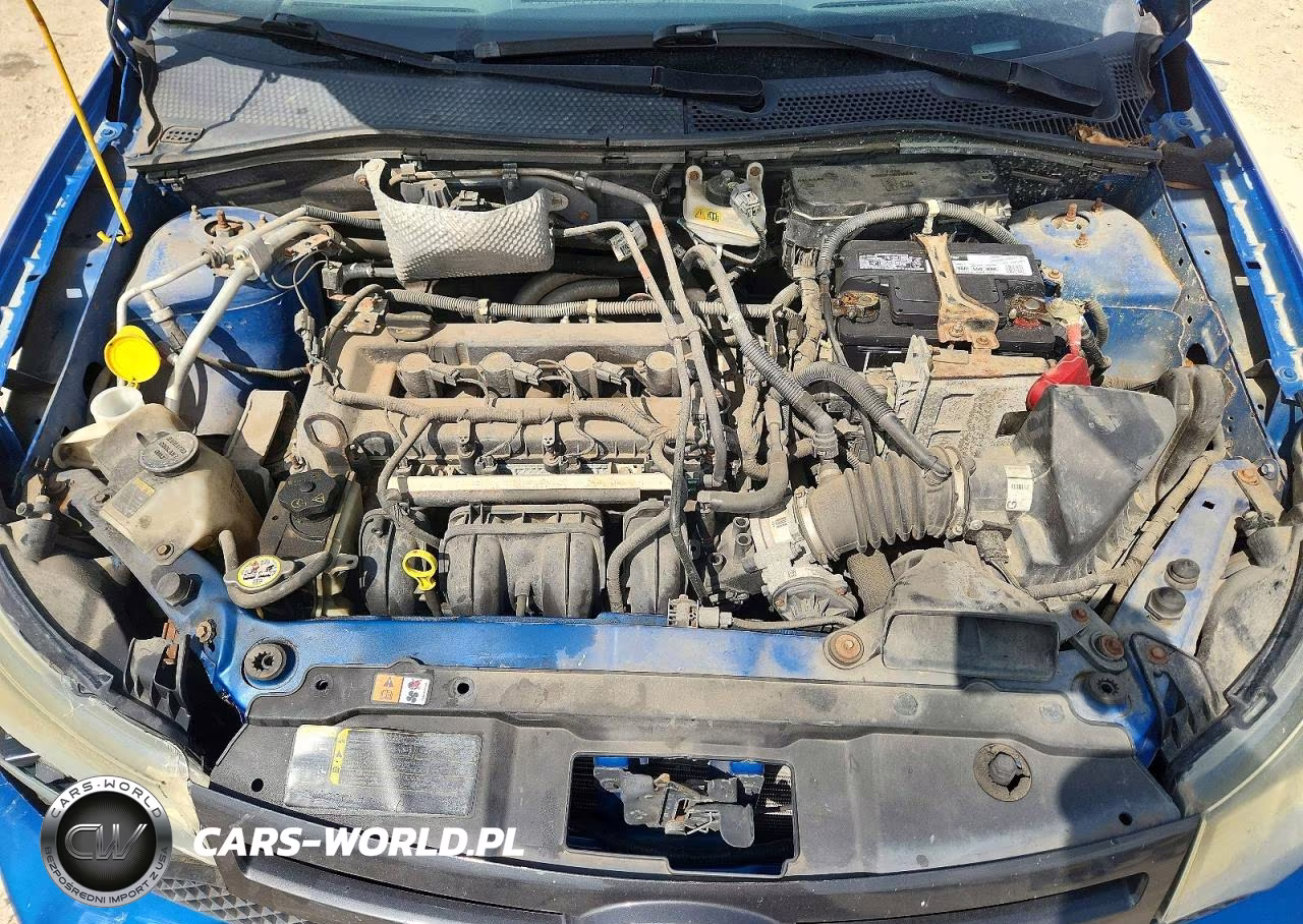 2010 Ford Focus Ses VIN:1FAHP3GN0AW107586 - 11
