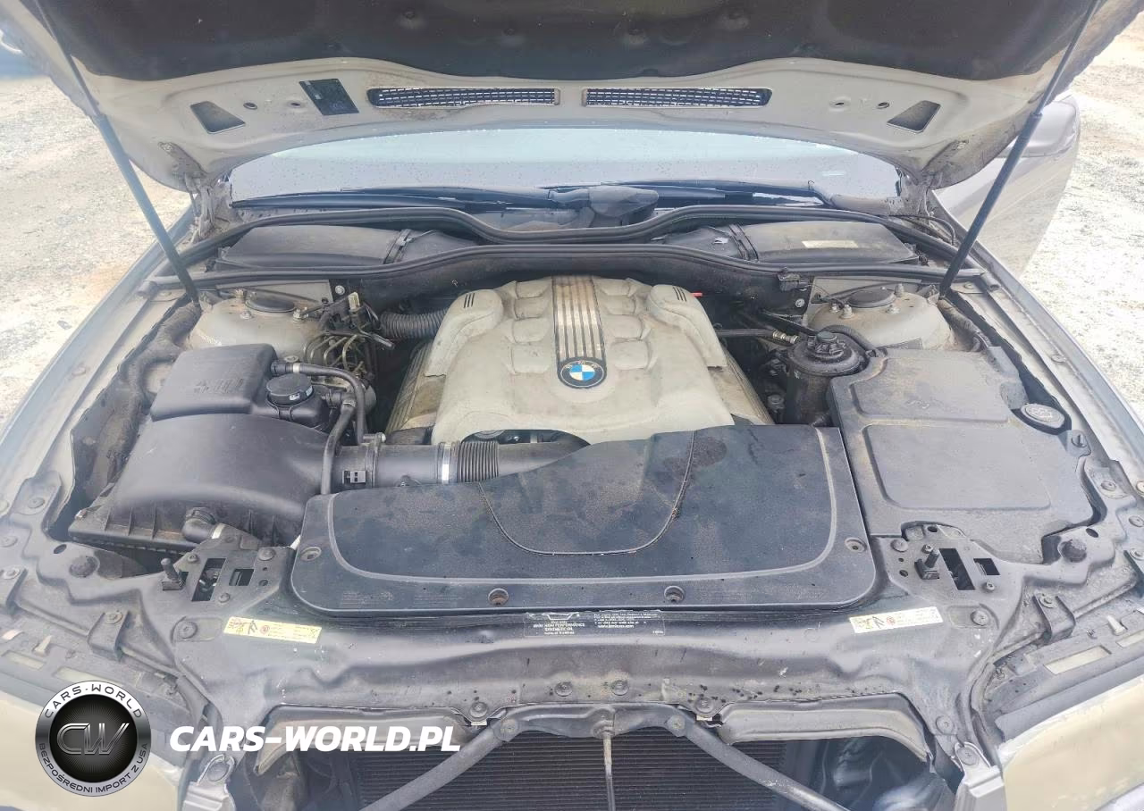 2004 BMW 745 Li VIN:WBAGN63414DS50215 - 11