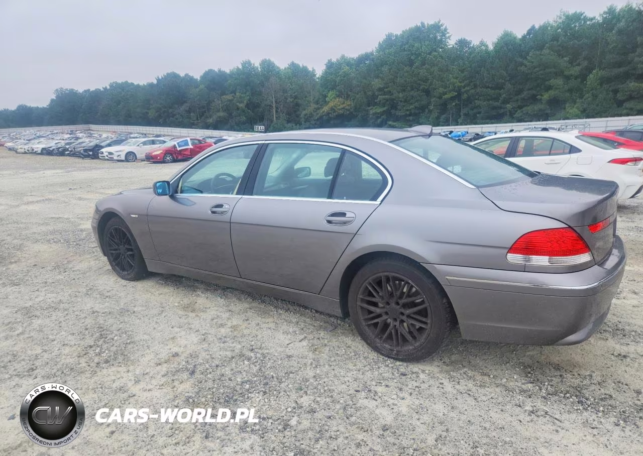 2004 BMW 745 Li VIN:WBAGN63414DS50215 - 2