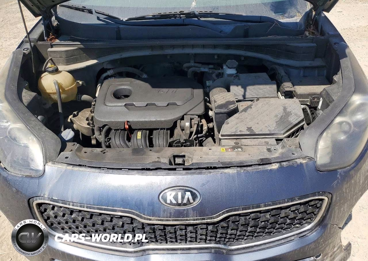 2017 Kia Sportage Lx VIN:KNDPM3AC3H7295658 - 11