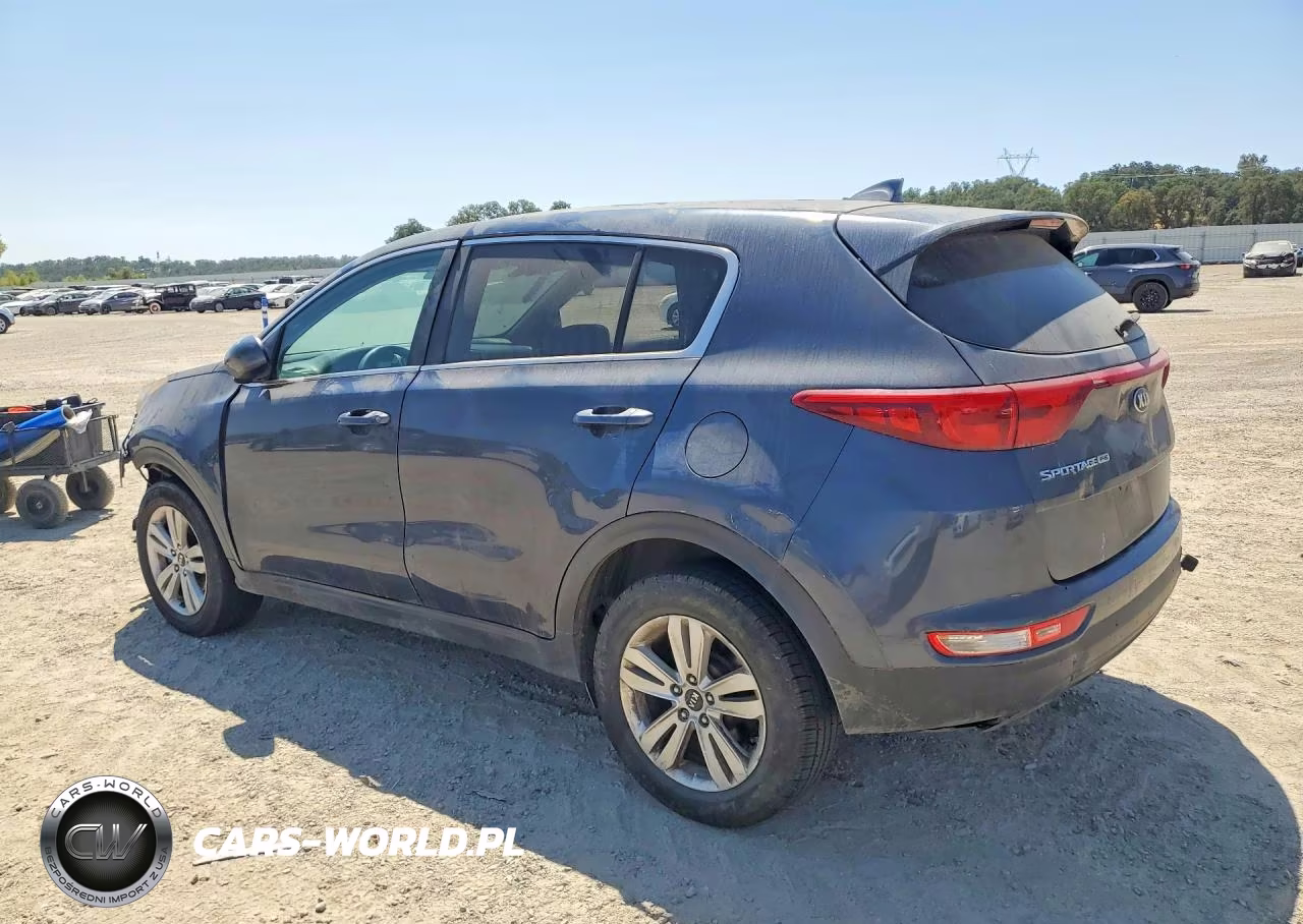 2017 Kia Sportage Lx VIN:KNDPM3AC3H7295658 - 2