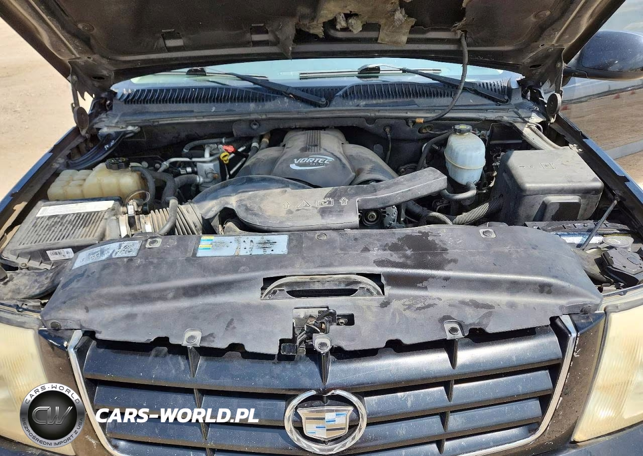 2005 Cadillac Escalade Luxury VIN:1GYEK63N05R145918 - 12