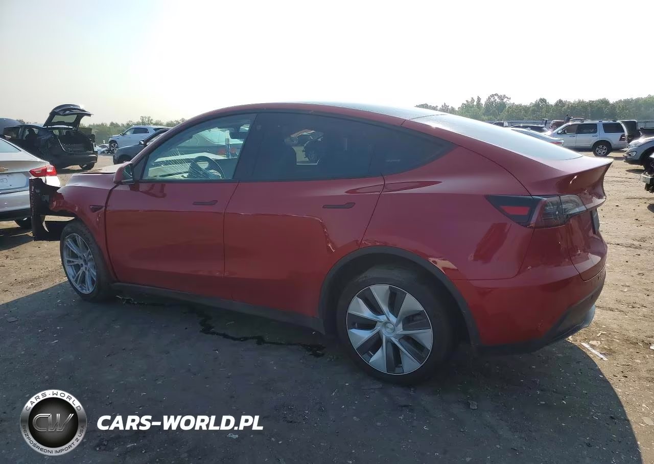 2023 Tesla Model Y VIN:7SAYGDEE1PF702613 - 2