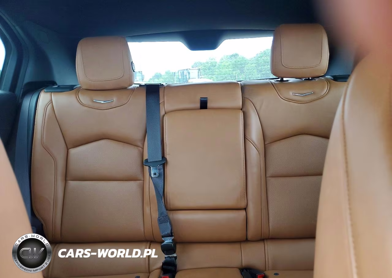 2019 Cadillac Xt4 Premium Luxury VIN:1GYFZCR40KF103226 - 10