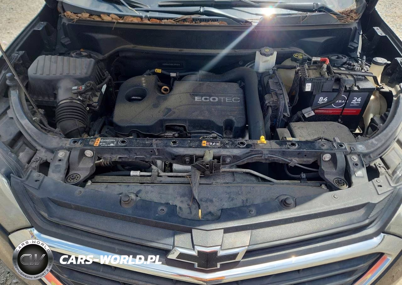2019 Chevrolet Equinox Ls VIN:3GNAXHEV6KL354587 - 12