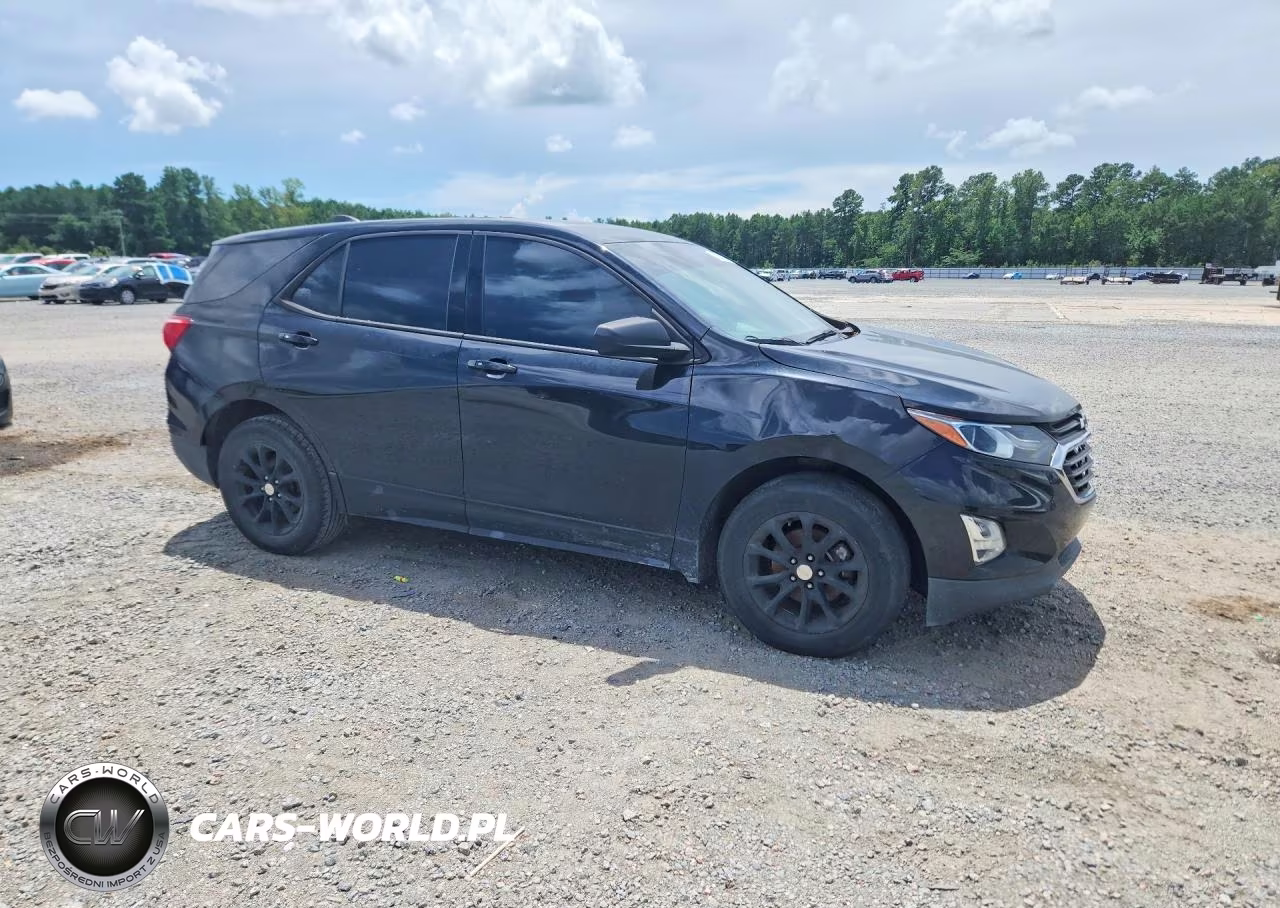 2019 Chevrolet Equinox Ls VIN:3GNAXHEV6KL354587 - 4