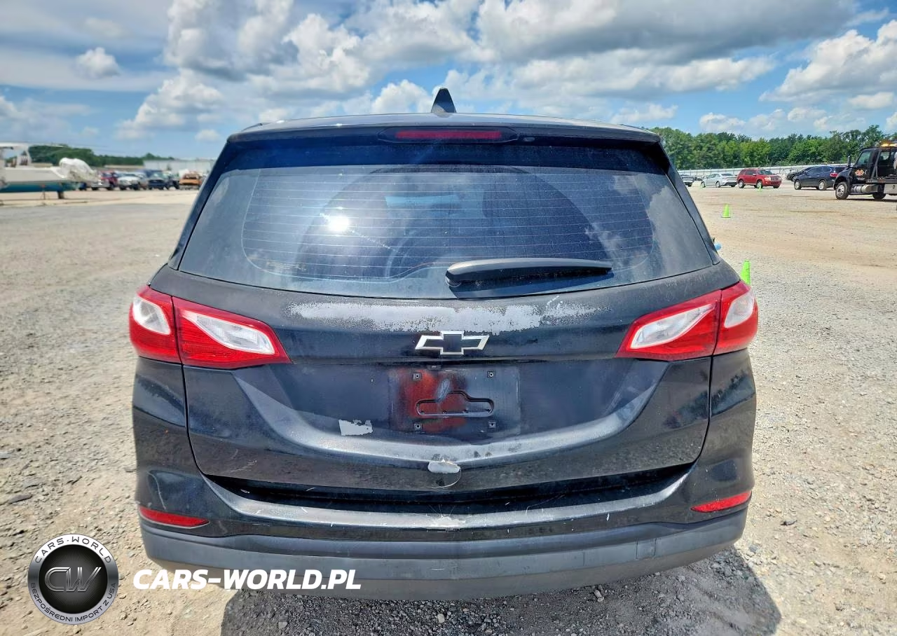 2019 Chevrolet Equinox Ls VIN:3GNAXHEV6KL354587 - 6