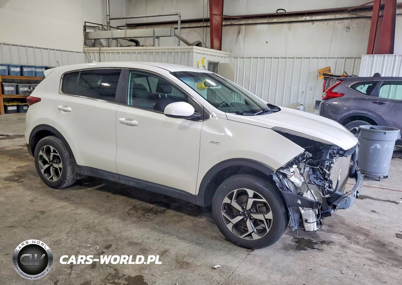 2020 Kia Sportage Lx VIN:KNDPMCAC5L7629407 - 4