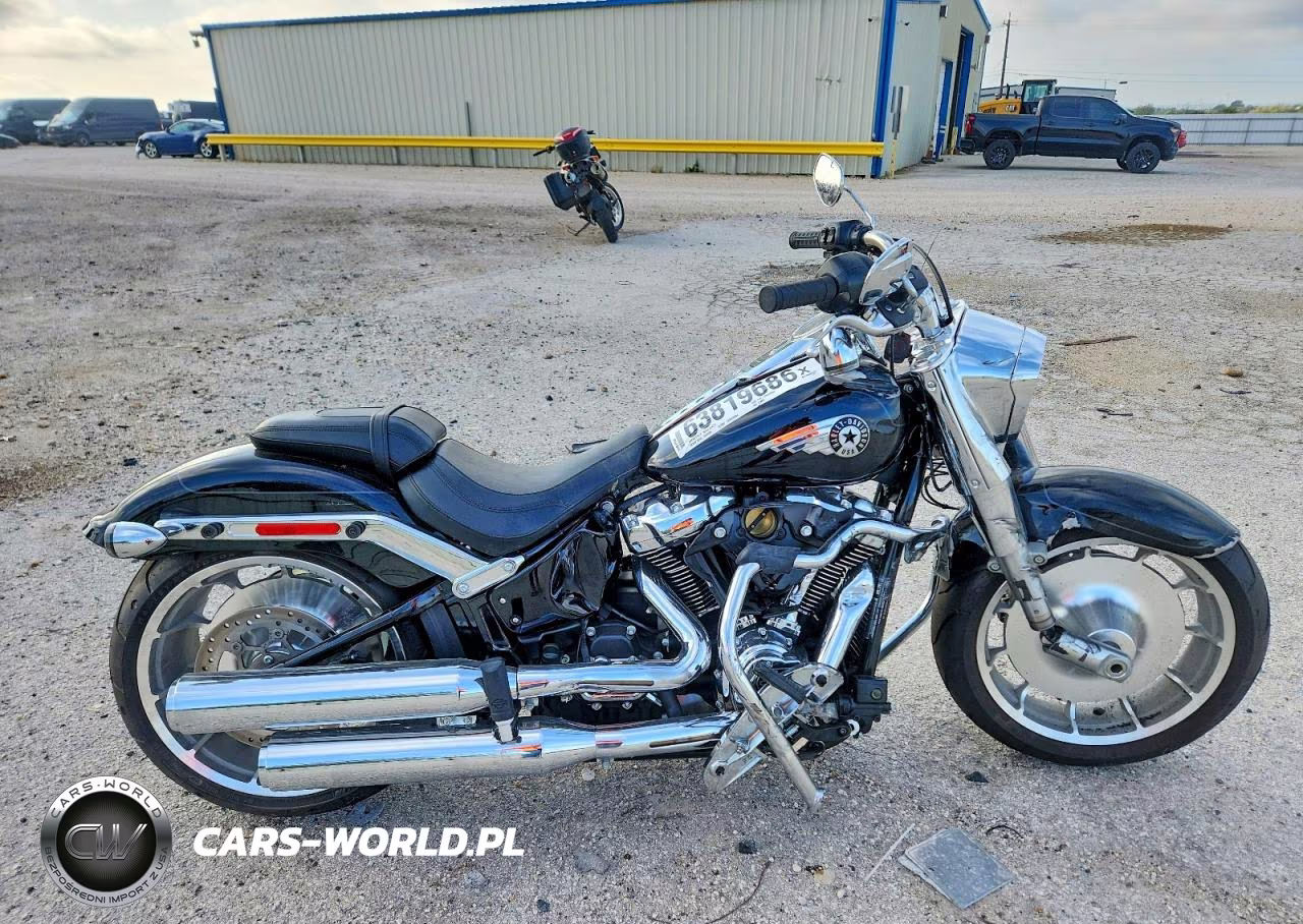 2025 Harley-Davidson Flfb – zdjęcie 1 z 9