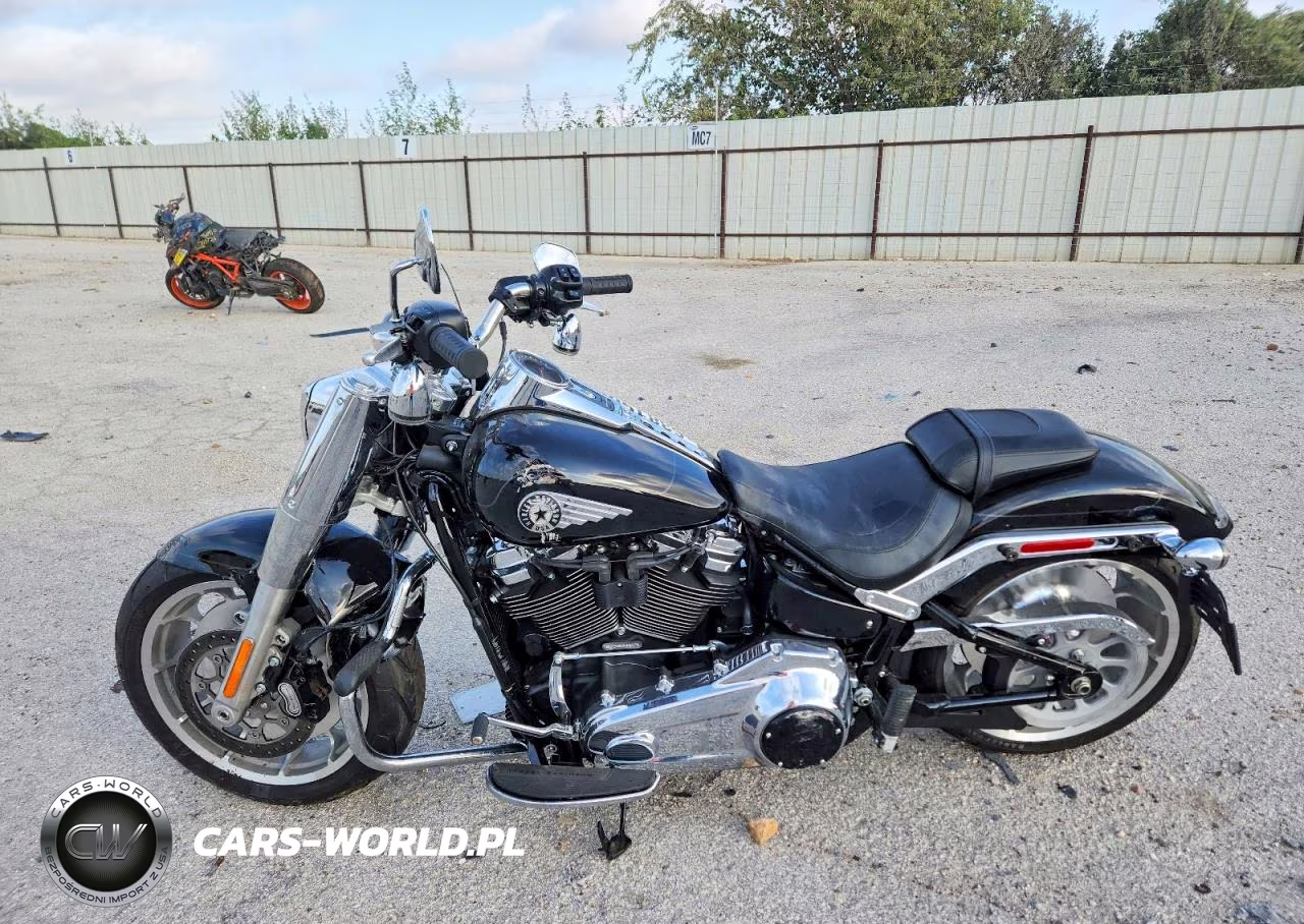 2025 Harley-Davidson Flfb VIN:1HD1YF917SB044837 - 3