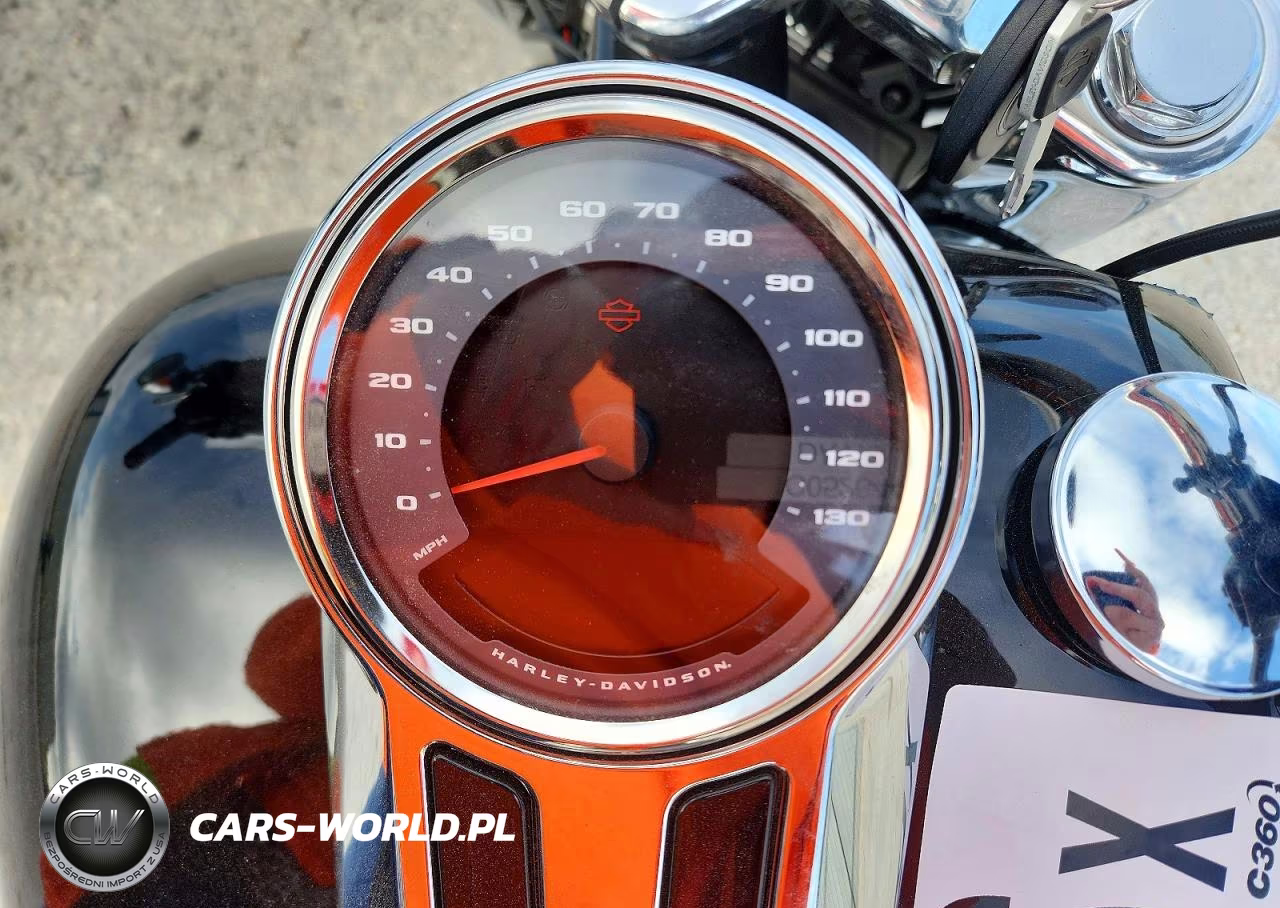 2025 Harley-Davidson Flfb VIN:1HD1YF917SB044837 - 7
