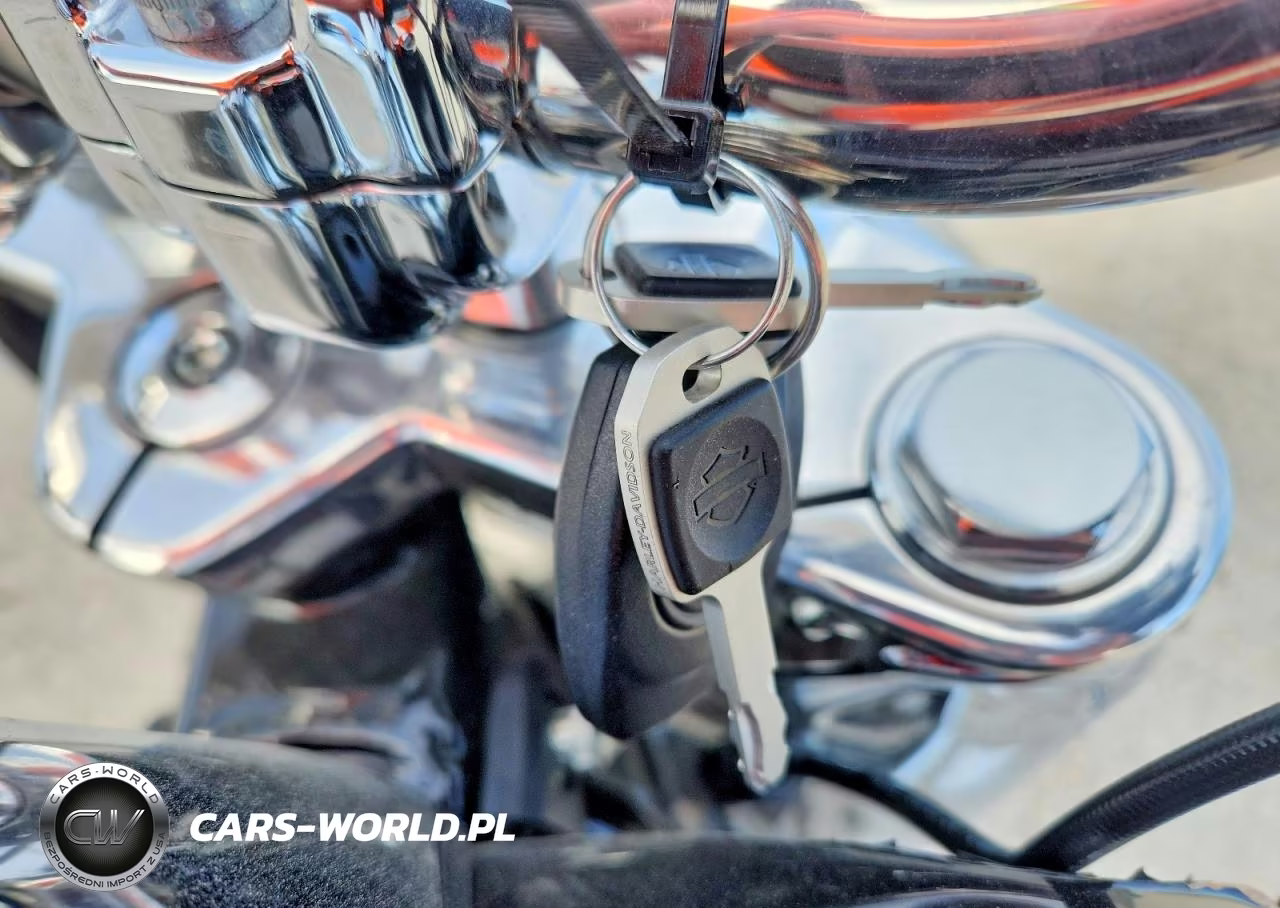 2025 Harley-Davidson Flfb VIN:1HD1YF917SB044837 - 8