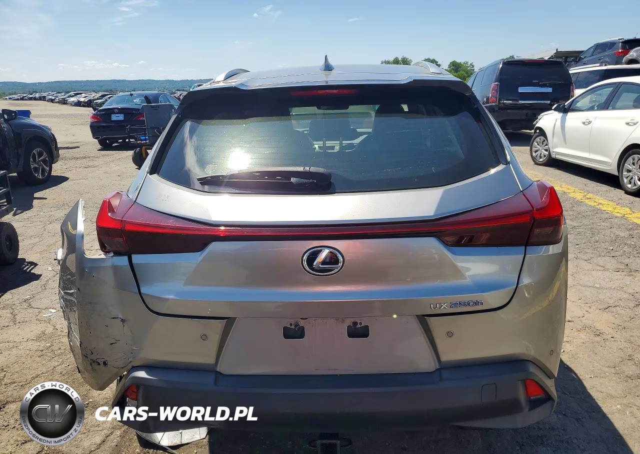2021 Lexus Ux 250H VIN:JTHP9JBH7M2040906 - 6