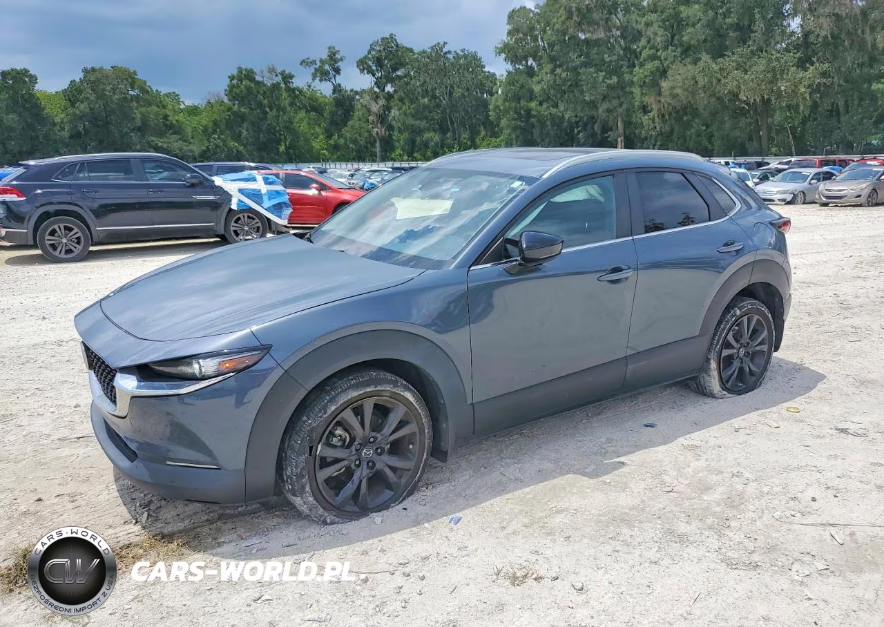 2023 Mazda Cx-30 Preferred VIN:3MVDMBCM3PM541629 - 1
