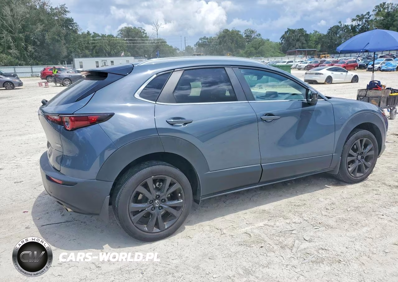 2023 Mazda Cx-30 Preferred VIN:3MVDMBCM3PM541629 - 3