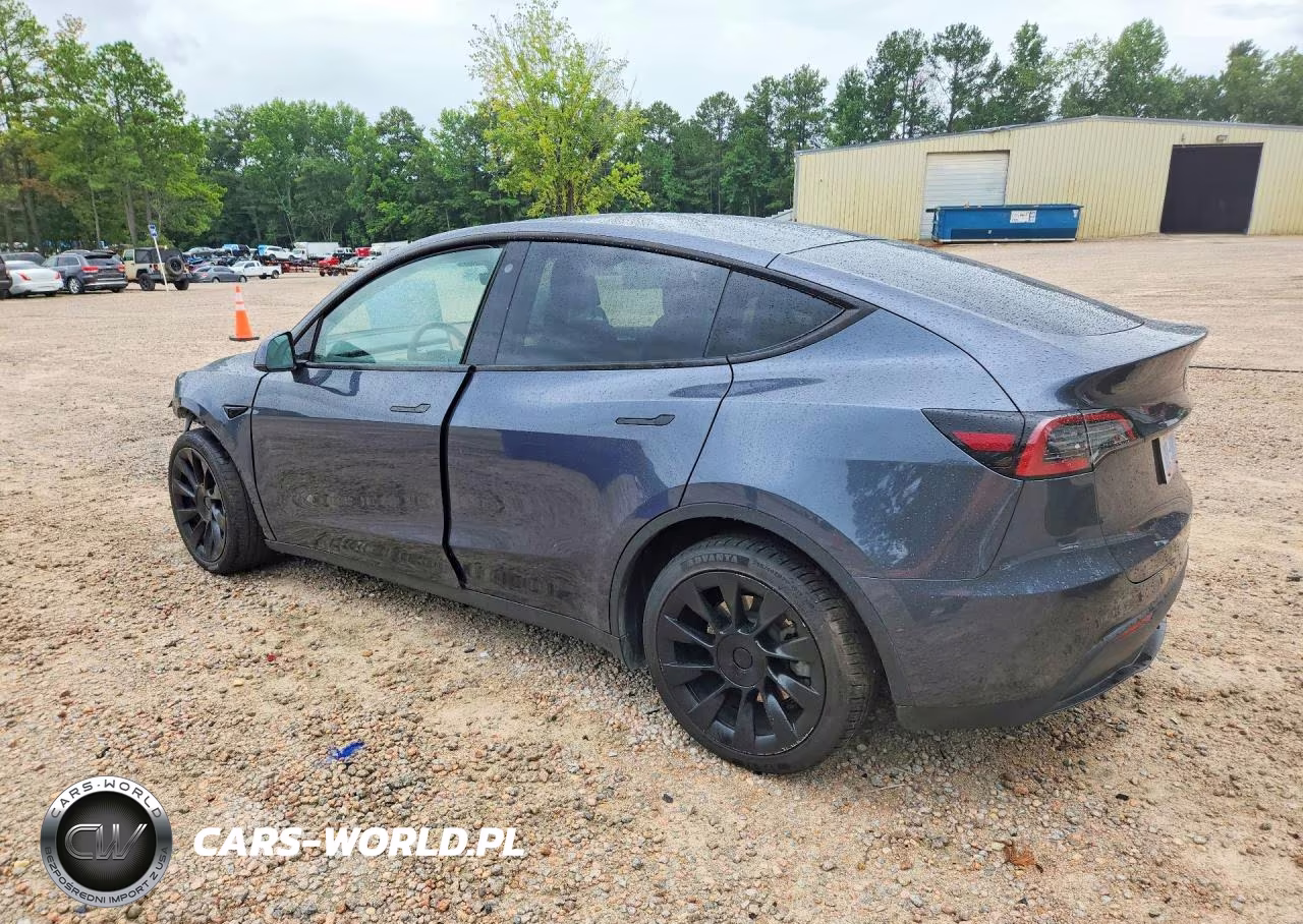 2023 Tesla Model Y VIN:7SAYGDEE3PA042930 - 2