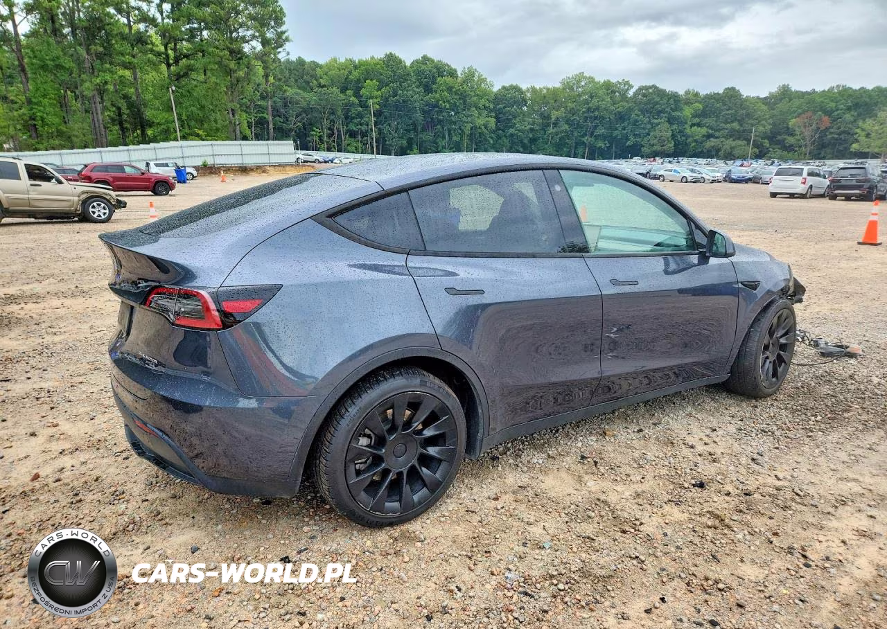 2023 Tesla Model Y VIN:7SAYGDEE3PA042930 - 3