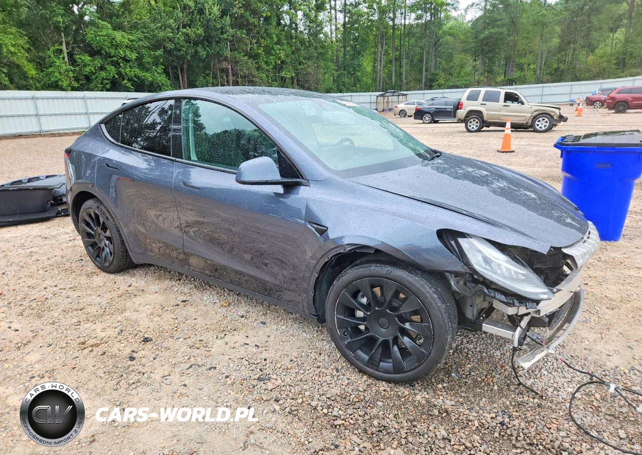 2023 Tesla Model Y VIN:7SAYGDEE3PA042930 - 4