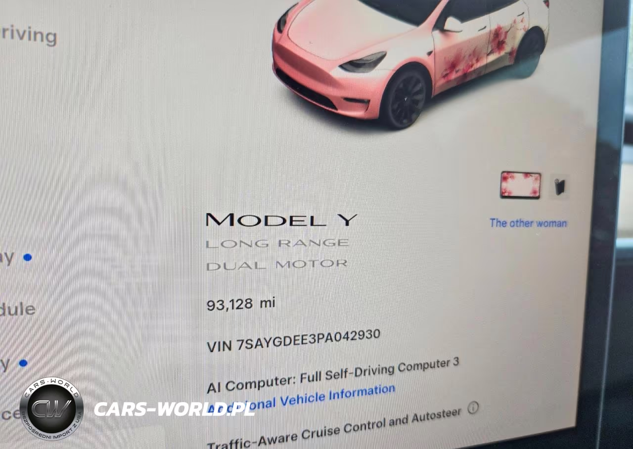 2023 Tesla Model Y VIN:7SAYGDEE3PA042930 - 9