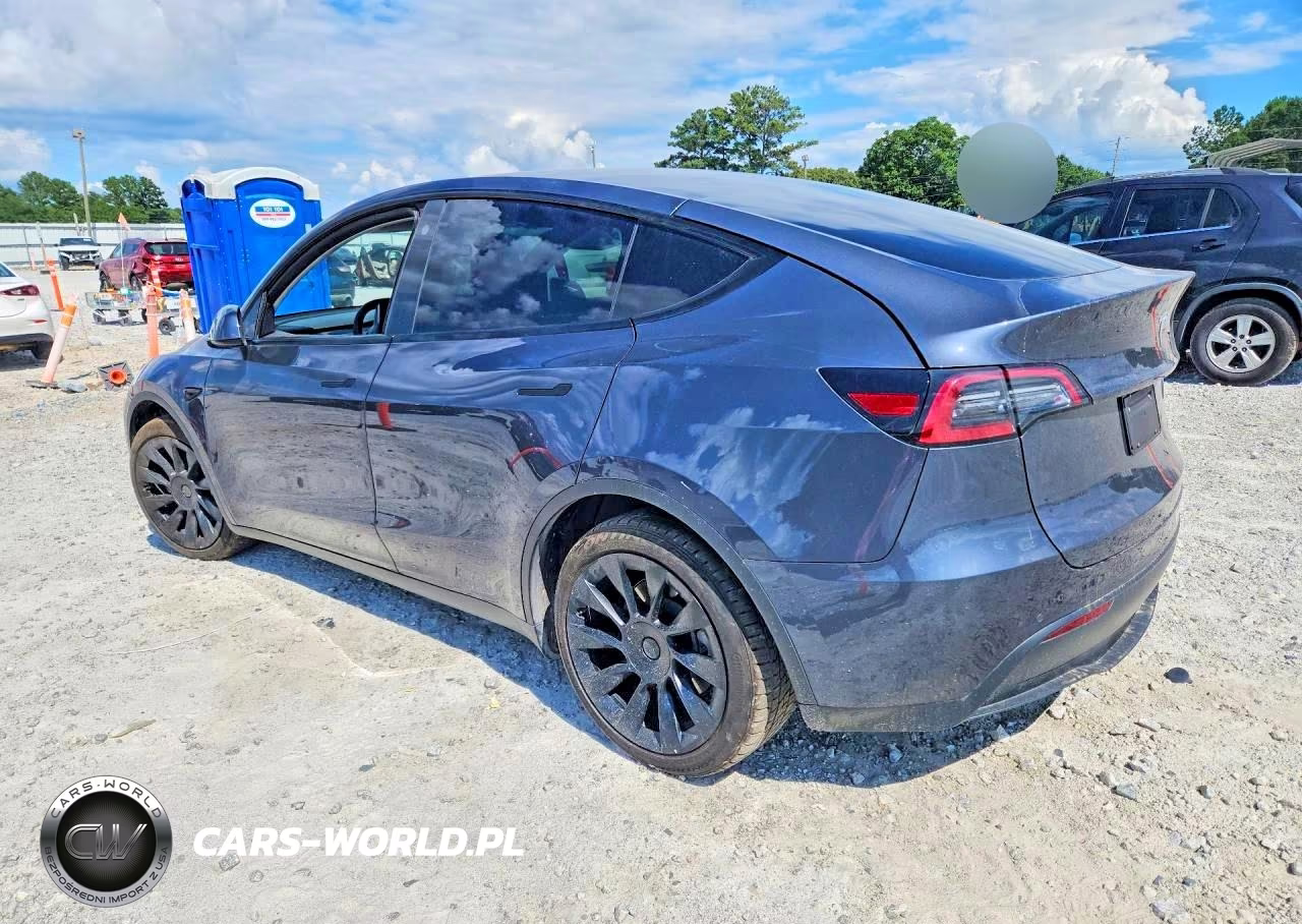 2021 Tesla Model Y Long Range Dual Motor All-Wheel Drive VIN:5YJYGDEEXMF244529 - 2