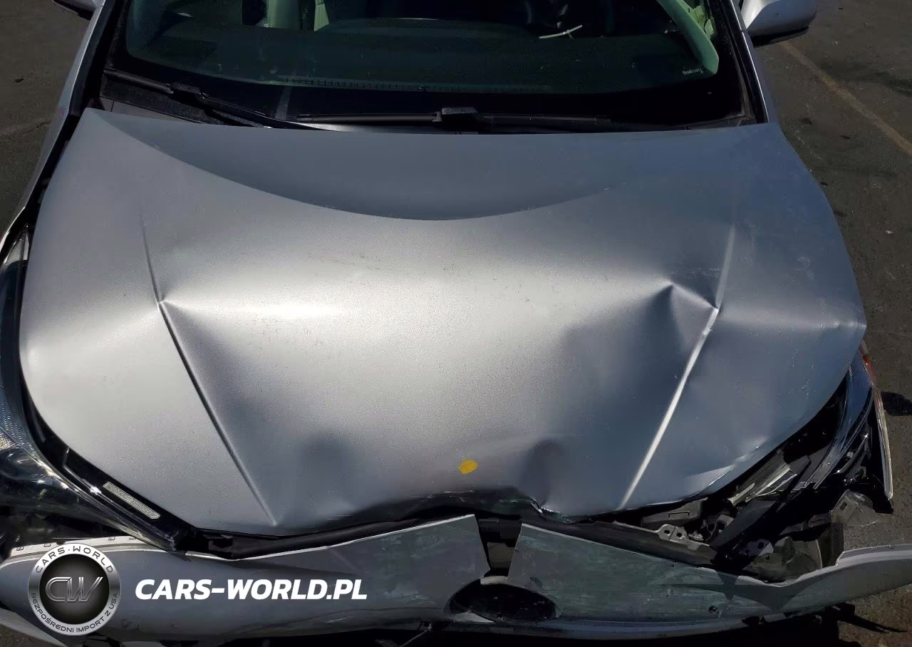 2016 Toyota Prius Two Eco VIN:JTDKARFU3G3500246 - 11