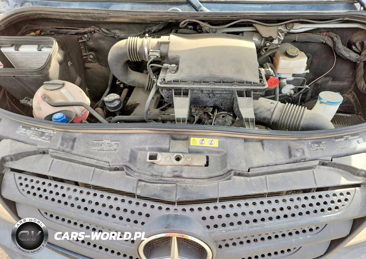 2017 Mercedes-Benz Sprinter 2500 VIN:WDZPE8CD1HP411844 - 12