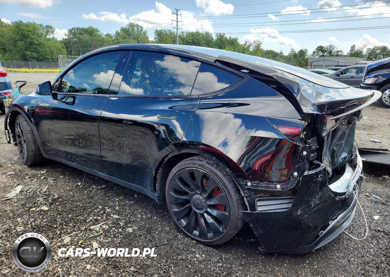 2022 Tesla Model Y VIN:7SAYGDEF2NF546653 - 2