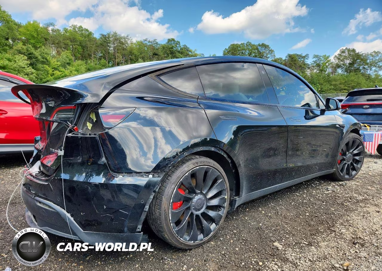 2022 Tesla Model Y VIN:7SAYGDEF2NF546653 - 3