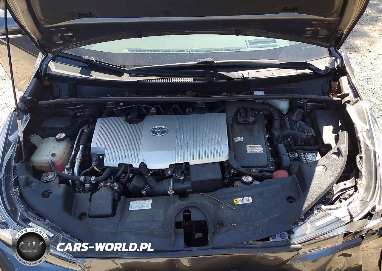 2019 Toyota Prius Xle Awd-E VIN:JTDL9RFUXK3008125 - 11