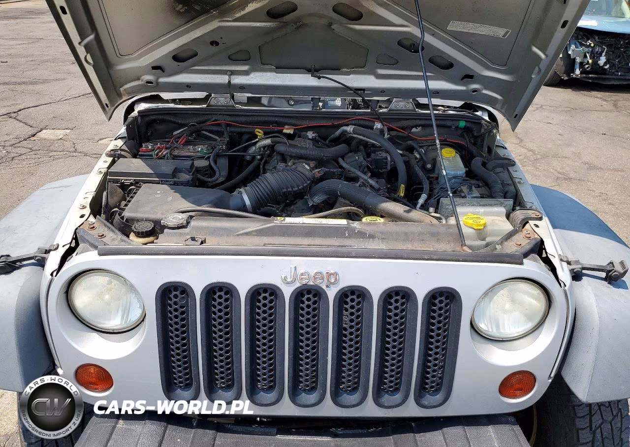 2009 Jeep Wrangler X VIN:1J4FA24129L711193 - 11