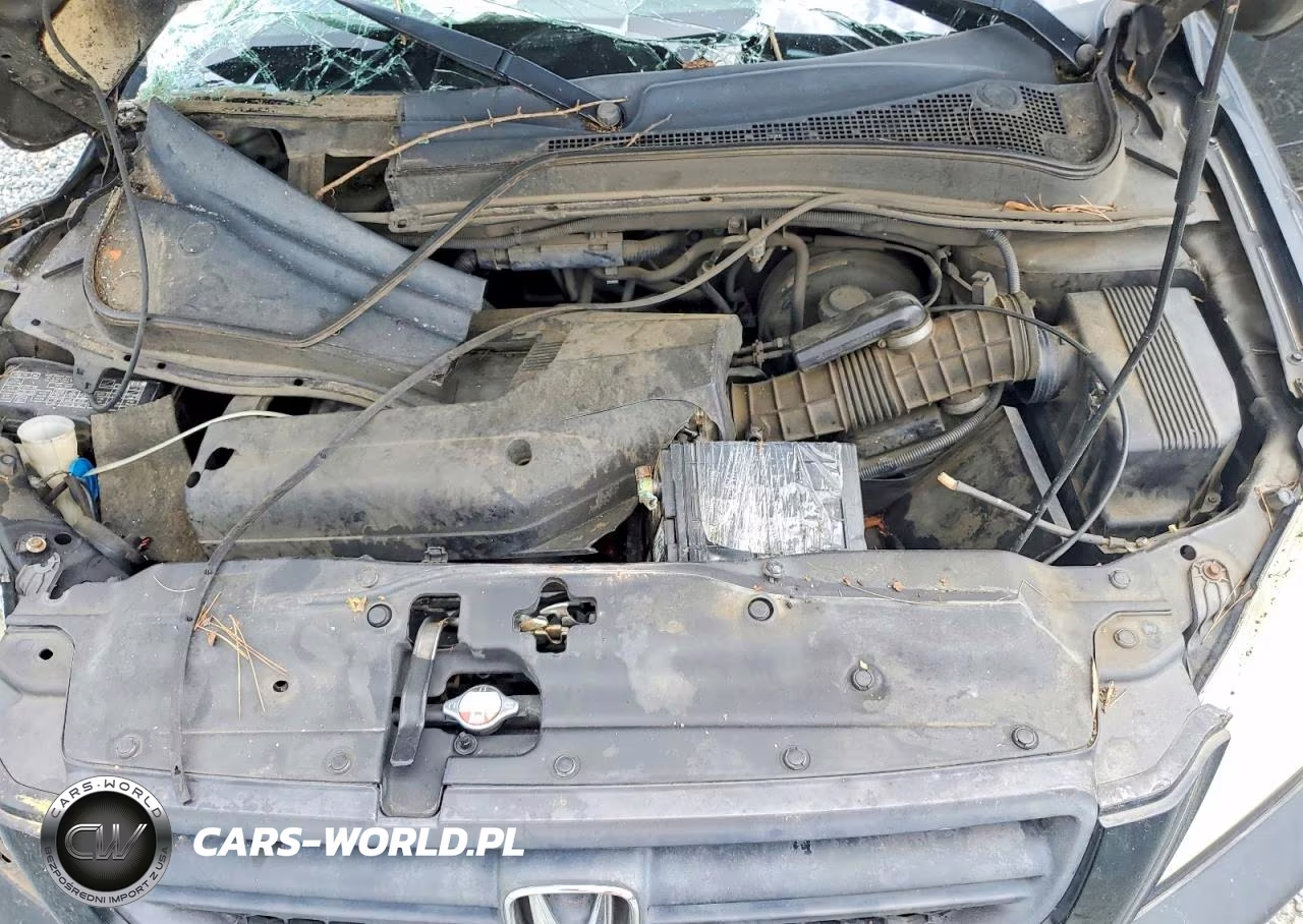 2004 Honda Pilot Exl VIN:2HKYF18584H601947 - 12