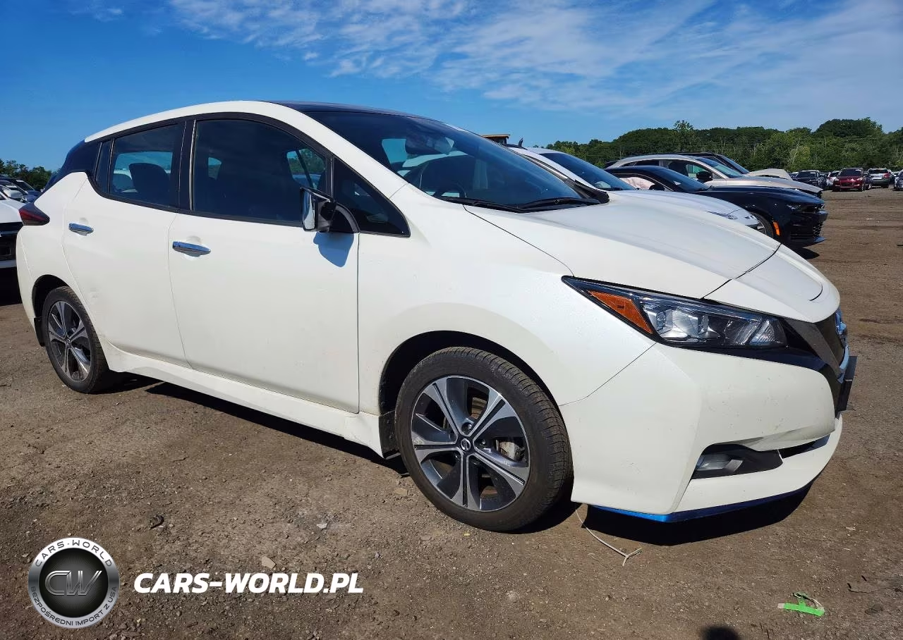 2020 Nissan Leaf Sv Plus VIN:1N4BZ1CP8LC309219 - 4