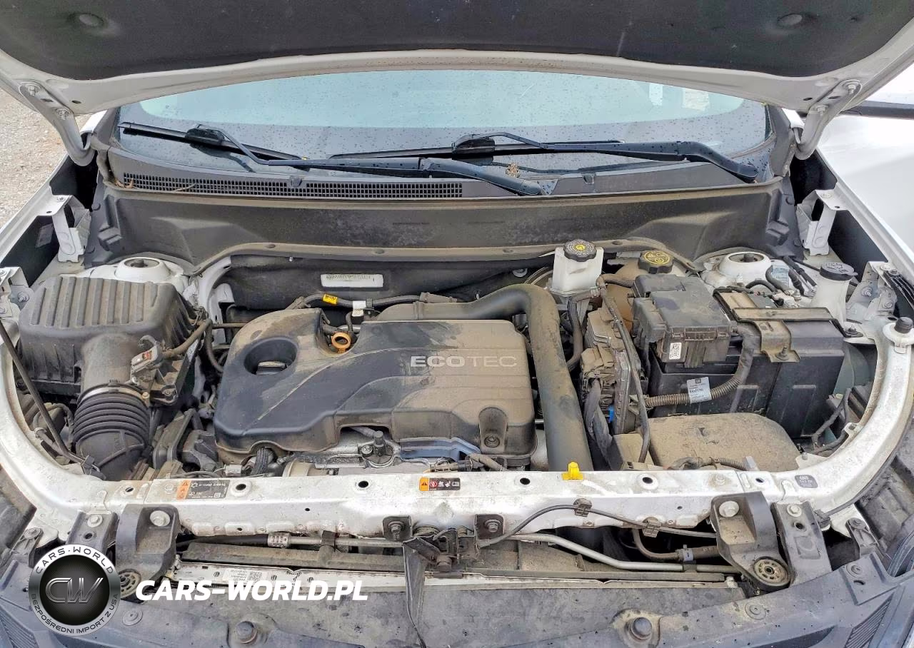 2019 Chevrolet Equinox Lt VIN:3GNAXKEV8KS677882 - 12