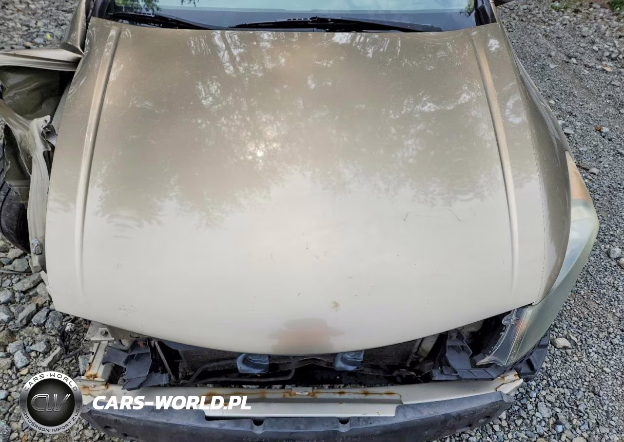 2009 Honda Accord Ex VIN:1HGCP26769A007892 - 11
