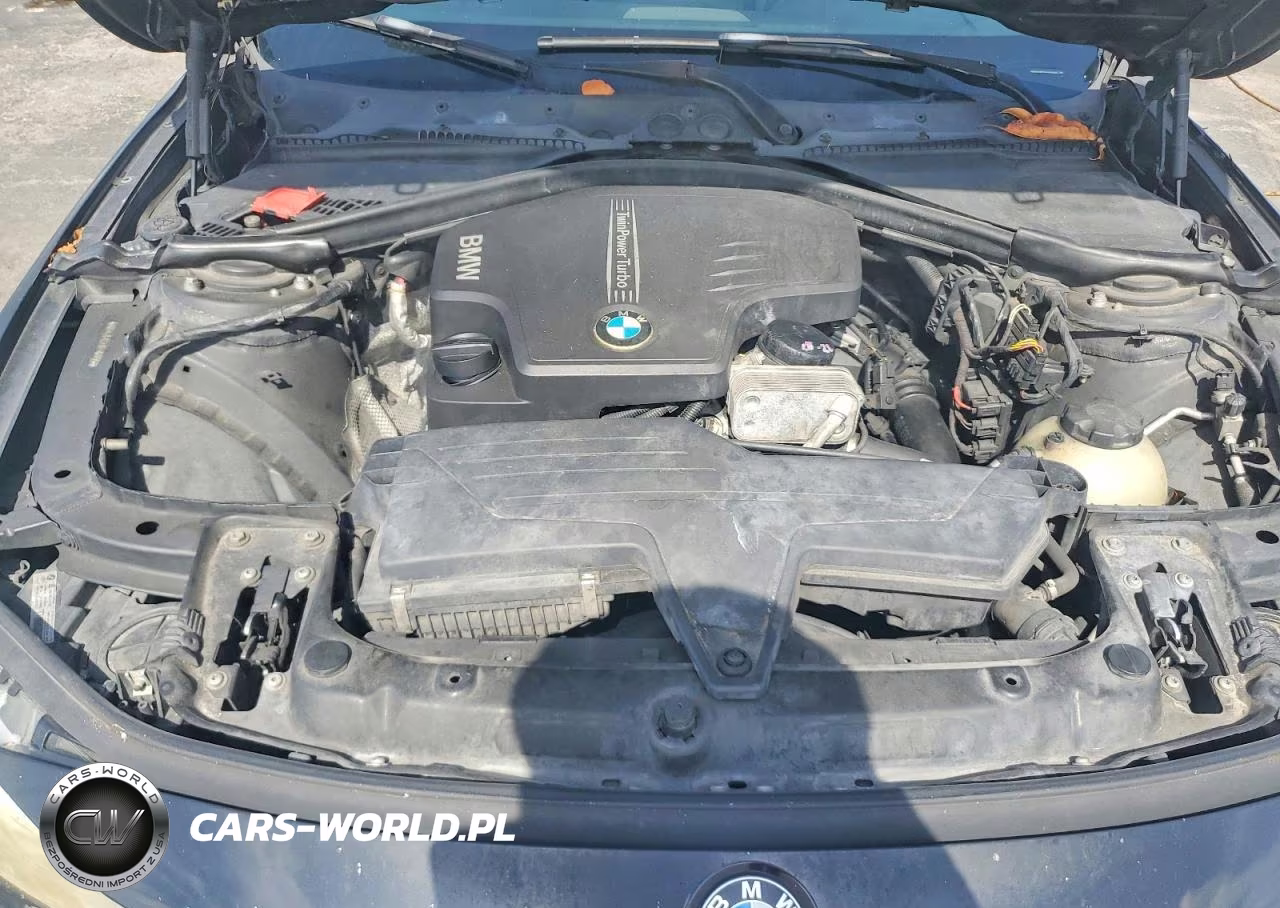 2013 BMW 320 I VIN:WBA3B1C54DF461755 - 11
