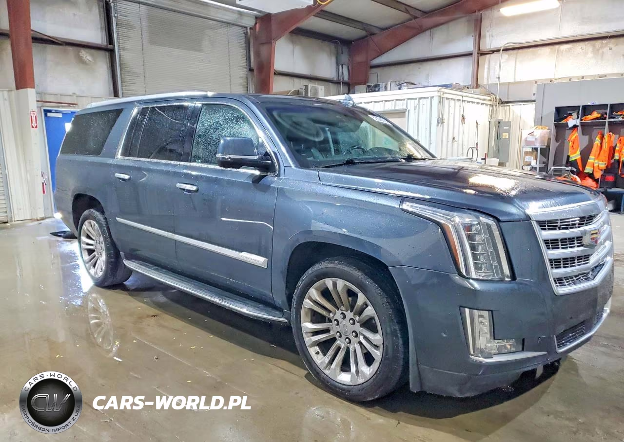 2019 Cadillac Escalade Esv Premium Luxury VIN:1GYS4JKJ0KR274655 - 4