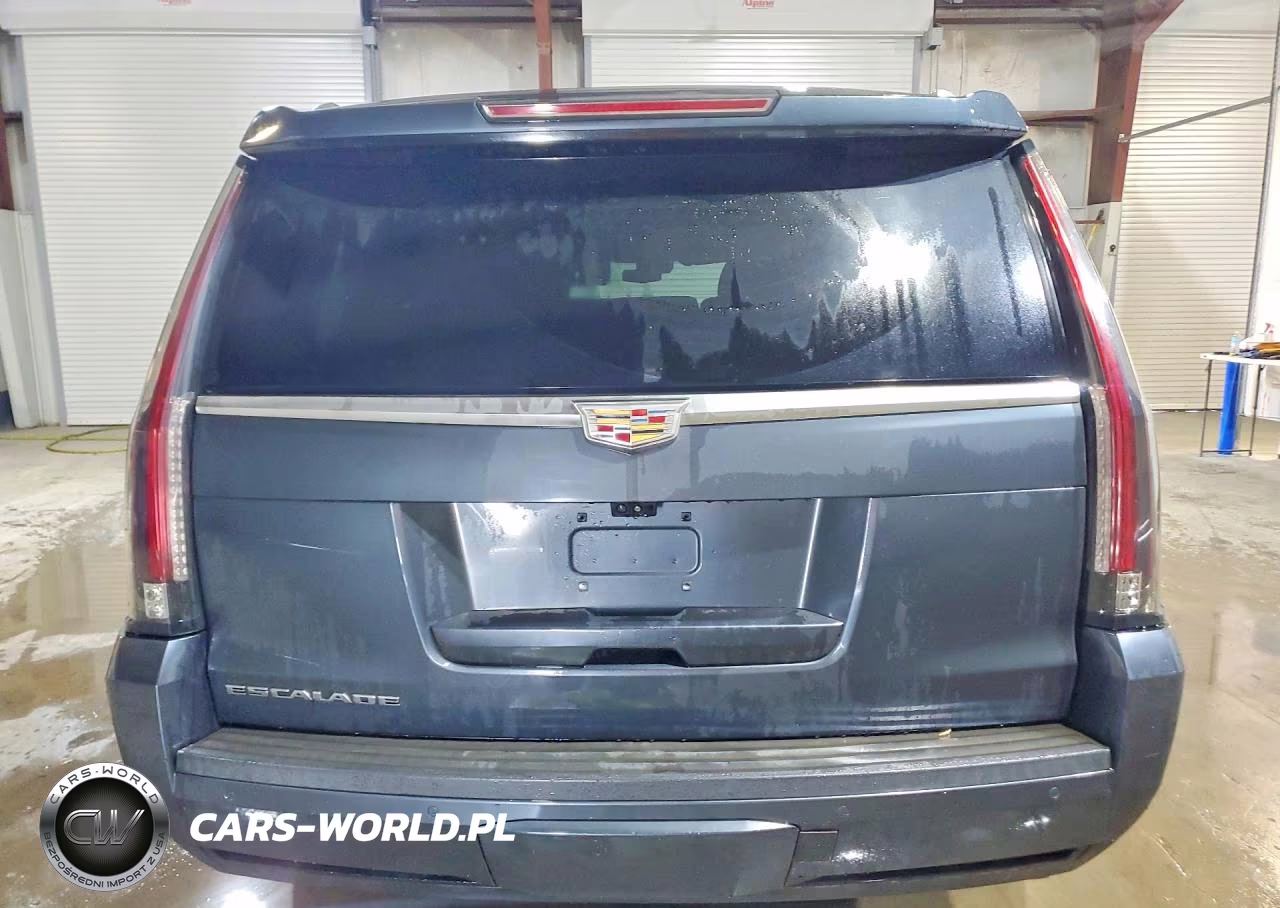 2019 Cadillac Escalade Esv Premium Luxury VIN:1GYS4JKJ0KR274655 - 6
