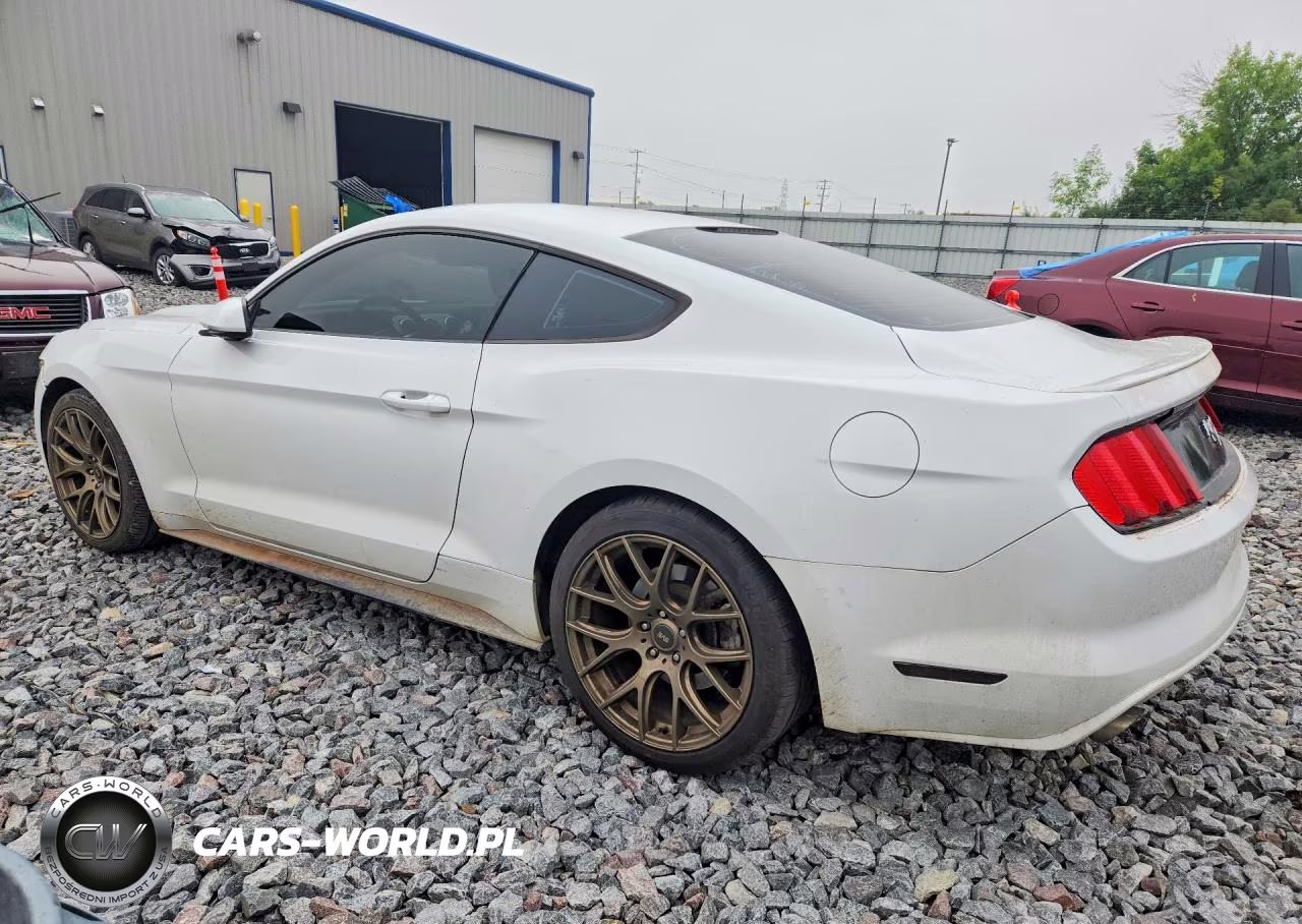 2015 Ford Mustang VIN:1FA6P8TH1F5325960 - 2