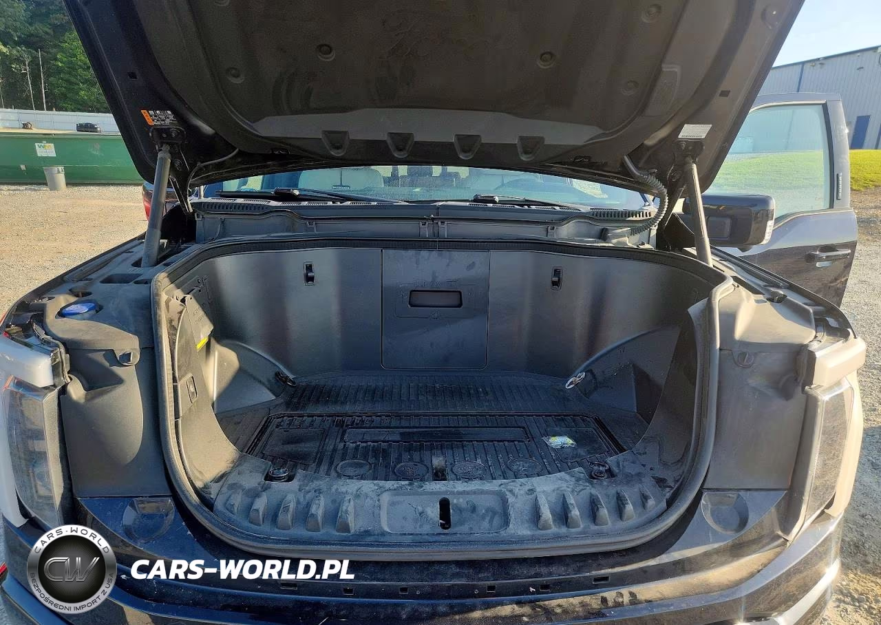 2022 Ford F150 Lightning Pro VIN:1FT6W1EV2NWG02888 - 11