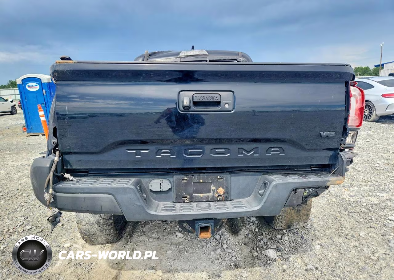 2019 Toyota Tacoma Trd Off-Road VIN:3TMAZ5CN5KM114607 - 6