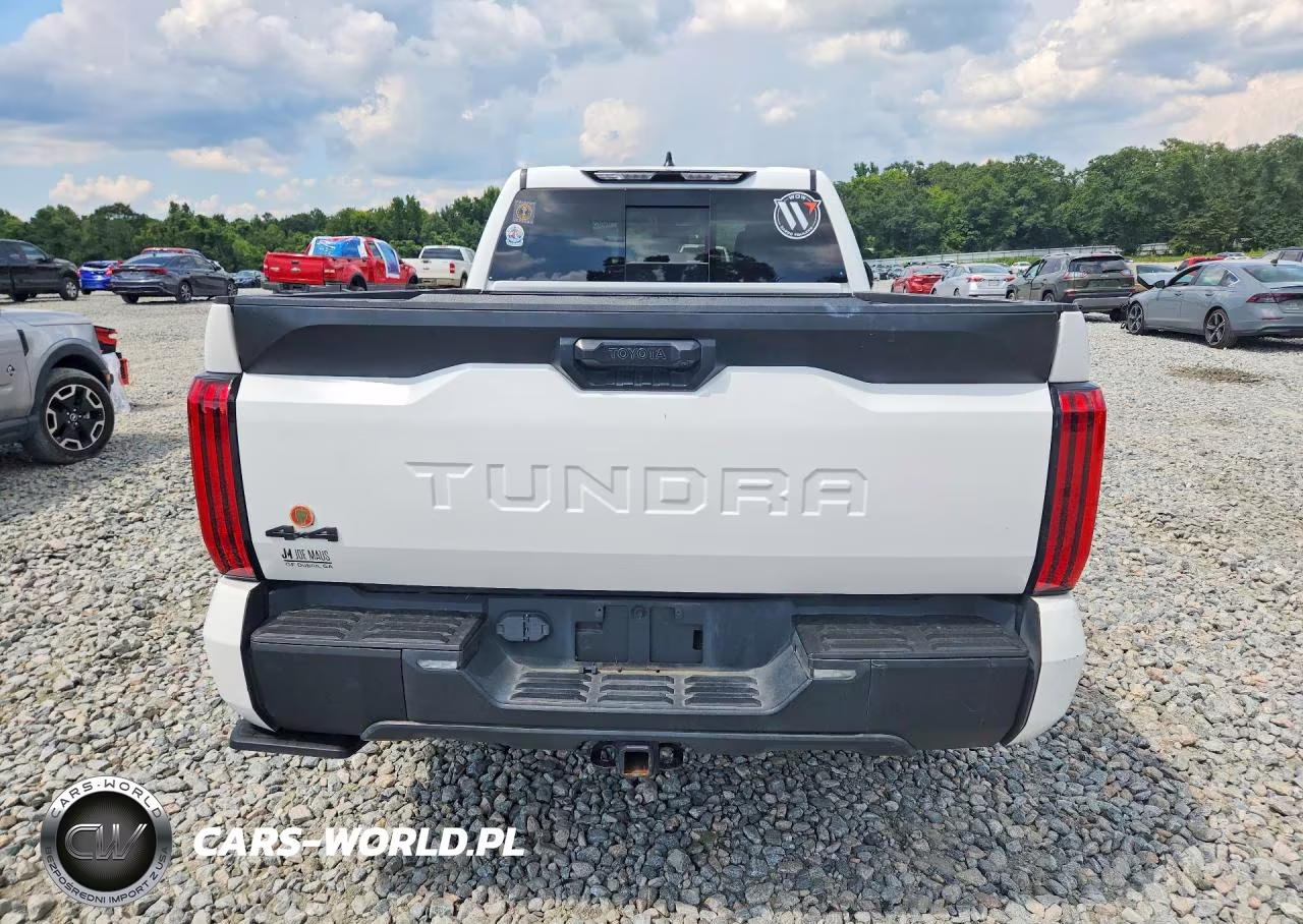 2023 Toyota Tundra Sr5 VIN:5TFLA5DA4PX078793 - 6