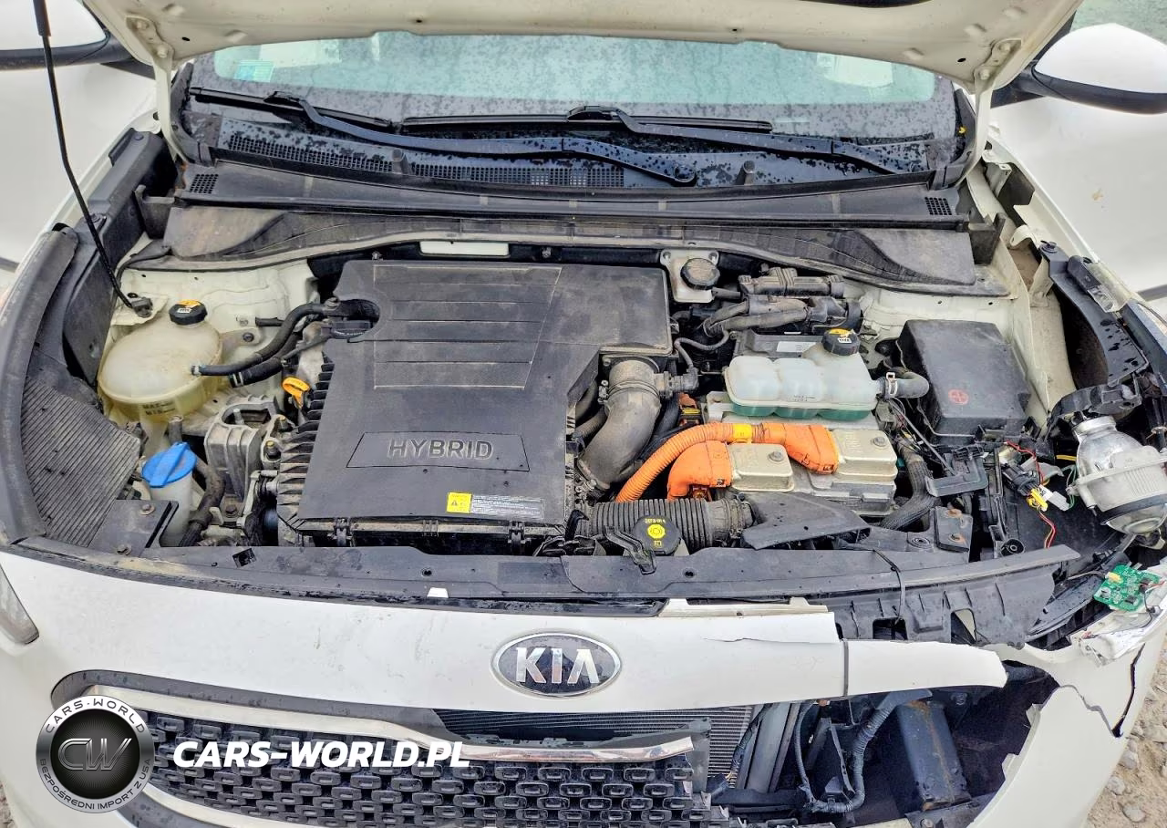 2019 Kia Niro Lx VIN:KNDCB3LC0K5243702 - 11