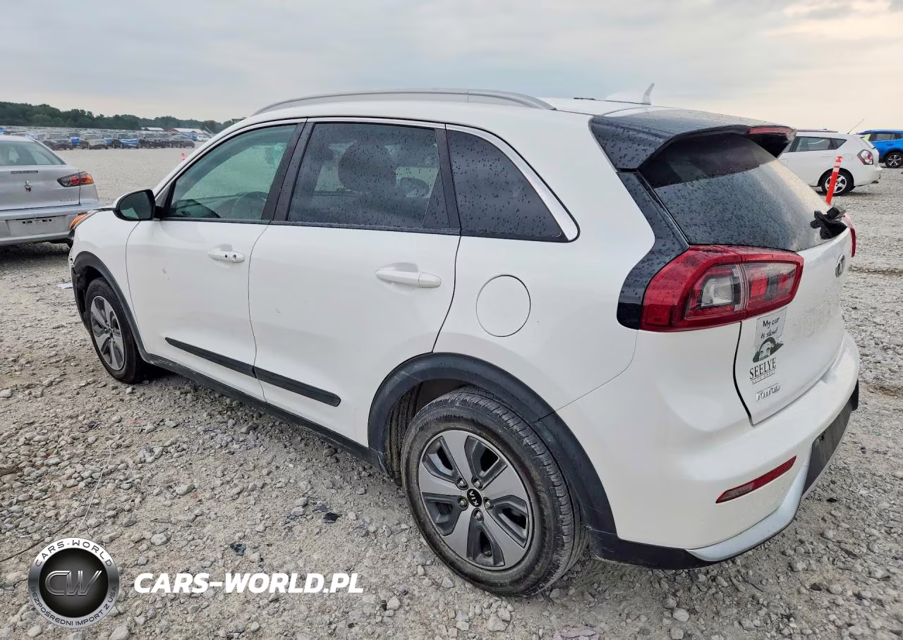 2019 Kia Niro Lx VIN:KNDCB3LC0K5243702 - 2